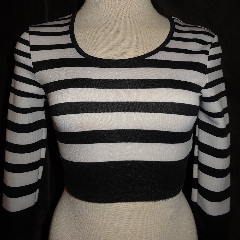 CHARLOTTE RUSSE Sweater Crop-Top